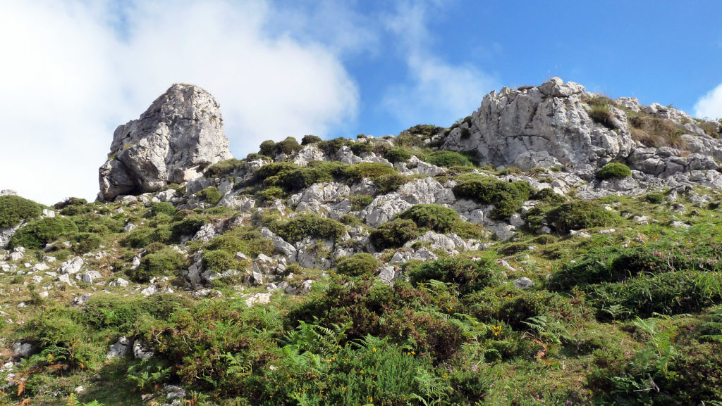 picos-covadonga-5