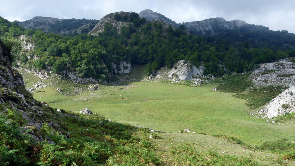 picos-covadonga-6