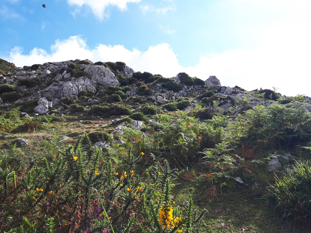 picos-covadonga-7